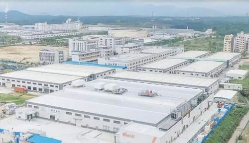 中國崛起為全球植物基食品重要市場，Omni新葷主義引領安心純素餐飲服務新潮流